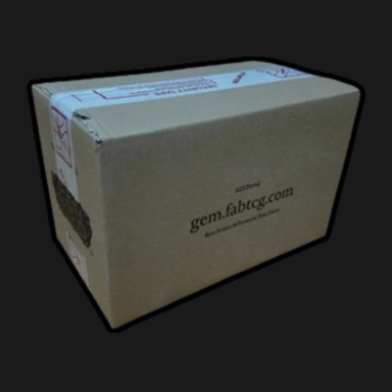 Flesh & Blood TCG High Seas Booster Display Case (4 Boxes) EN – Pirate & Necromancer Cards