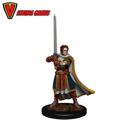 D&D Icons of the Realms: Premium Painted Figure - Human Cleric Male - Ventura Games